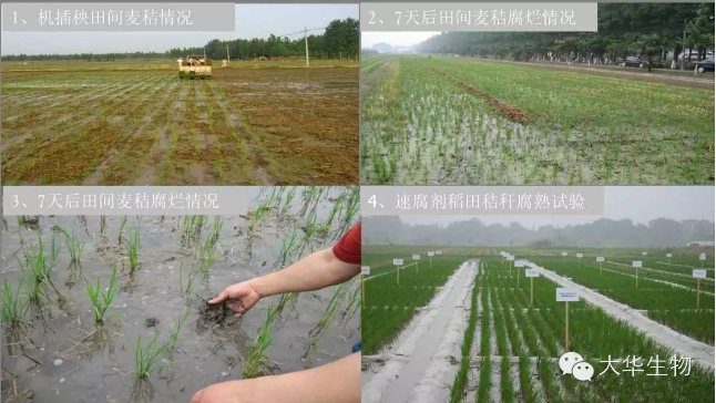 起子頭